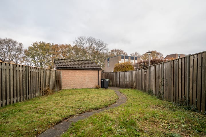 Photo 34 of Jan de Withof 9