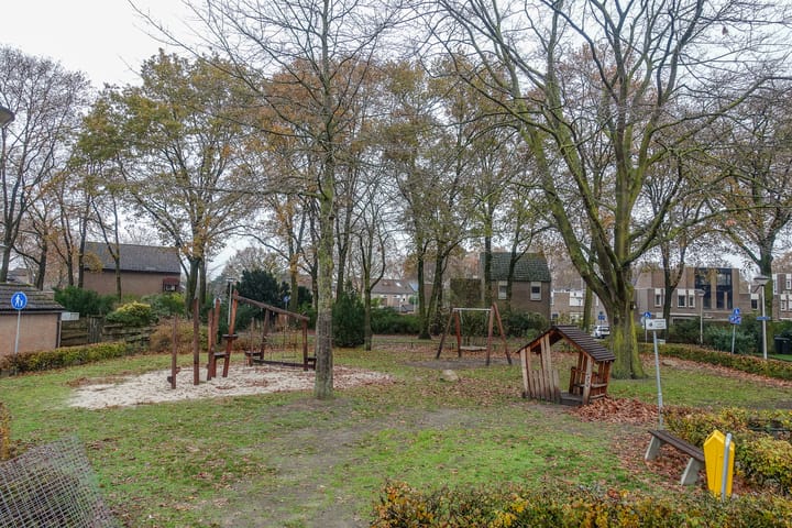 Photo 35 of Jan de Withof 9