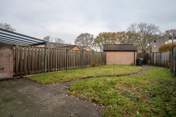 Photo 36 of Jan de Withof 9