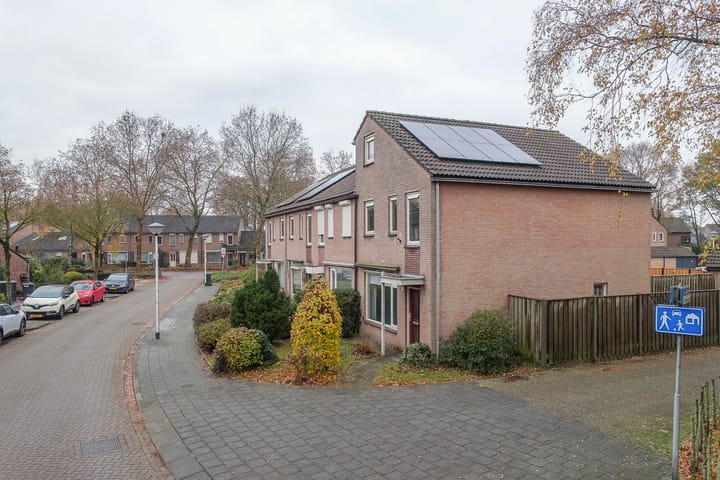 Photo 39 of Jan de Withof 9