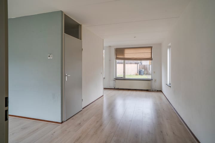 Foto 3 van Jan de Withof 9