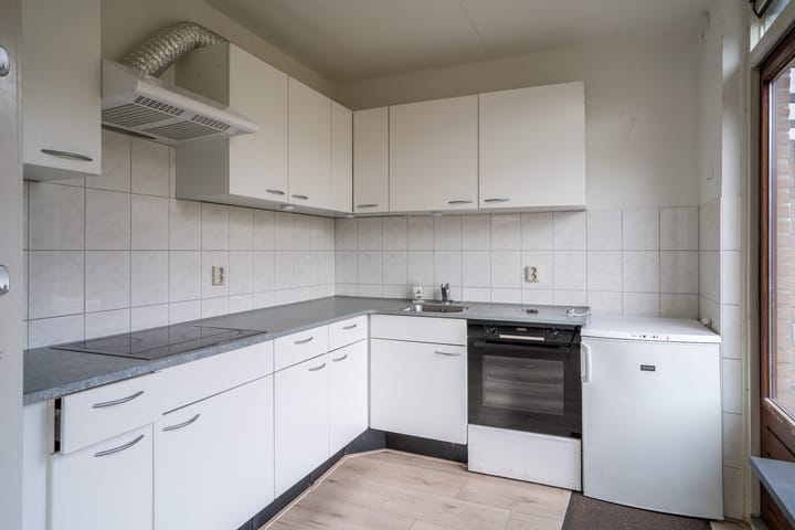 Photo 11 of Jan de Withof 9