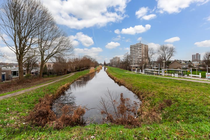 Foto 35 van Willemstraat 113