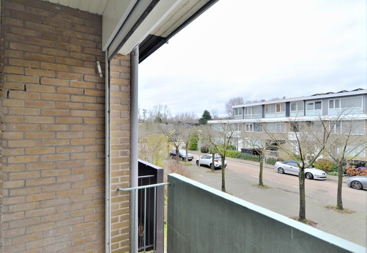 Photo 43 of Wallestein 61