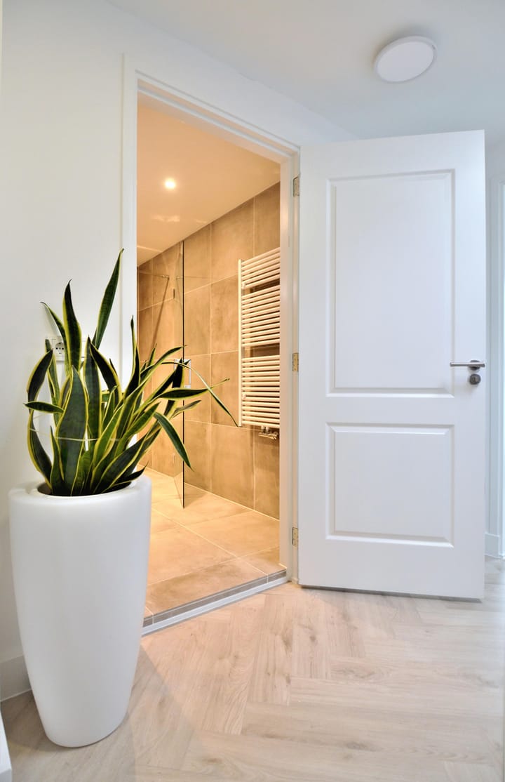 Photo 60 of Wallestein 61