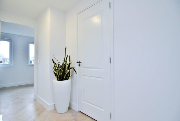 Photo 64 of Wallestein 61