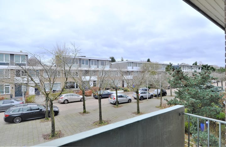 Photo 42 of Wallestein 61