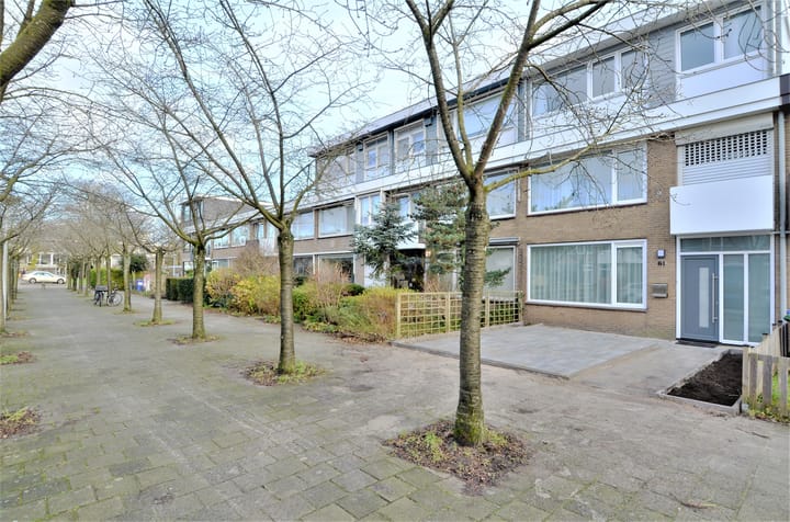 Photo 75 of Wallestein 61