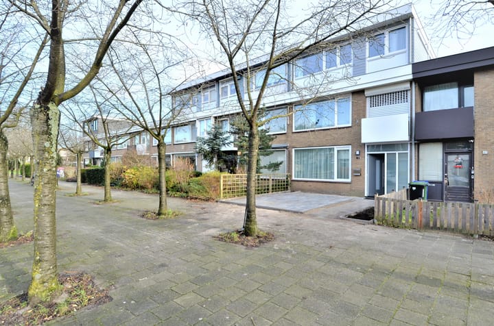 Photo 76 of Wallestein 61