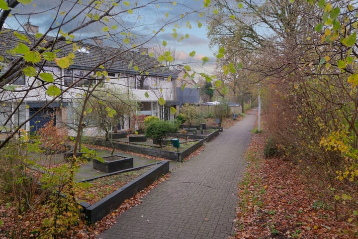 Foto 1 van Hoxwier 1