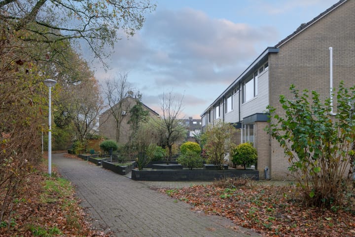 Foto 24 van Hoxwier 1