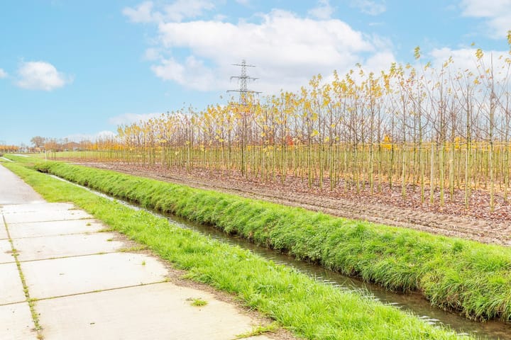 Photo 36 of Liniestraat 8