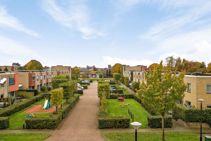 Photo 22 of Galjoen 22