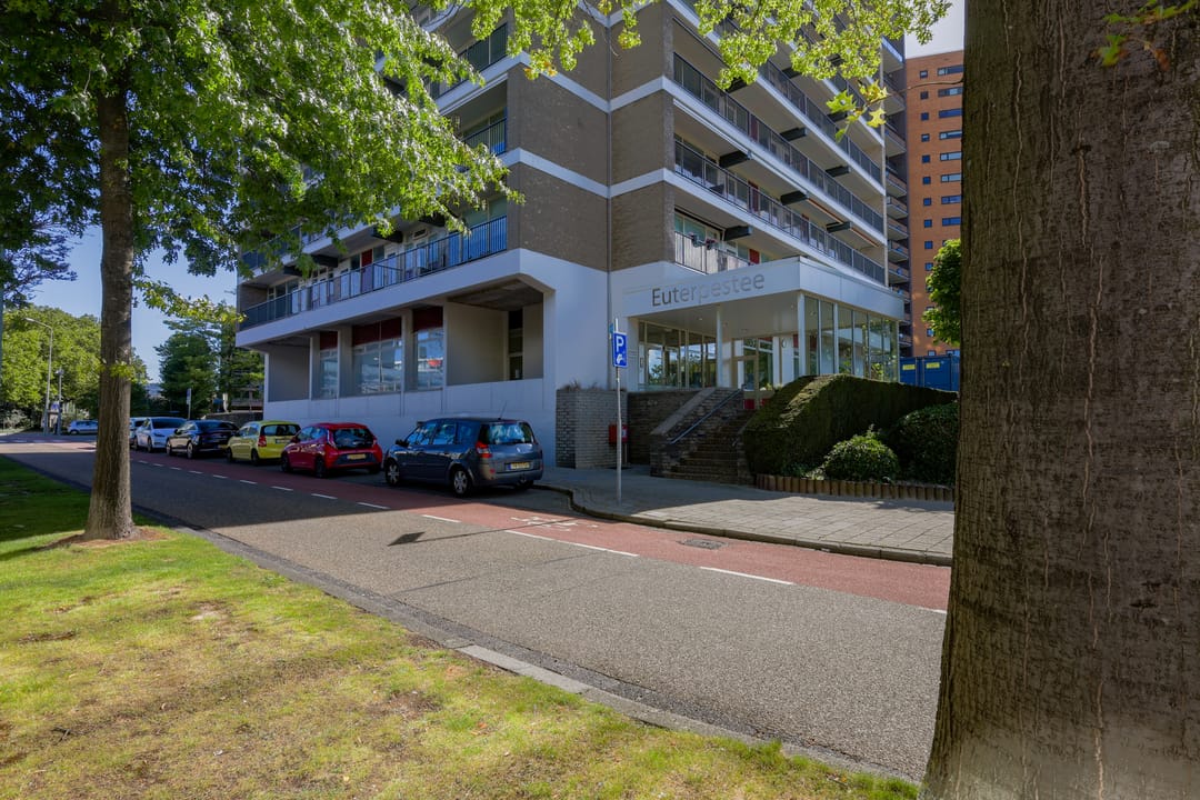 Foto 1 van Euterpelaan 22