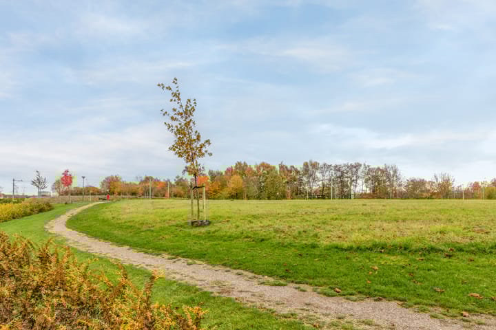 Foto 3 van Spoordamstraat 74