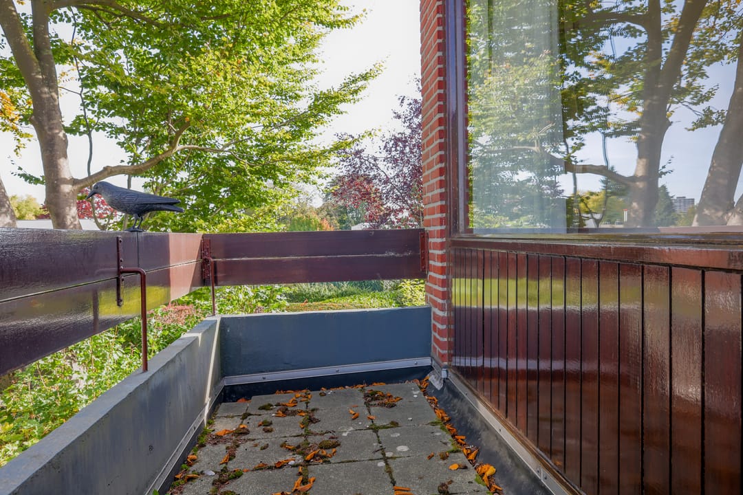 Foto 16 van Ir. Dingerlaan 5