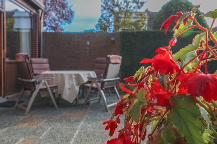 Foto 26 van Ir. Dingerlaan 5