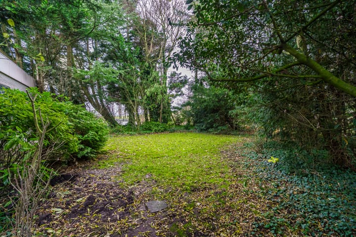 Foto 38 van Hornweg 126