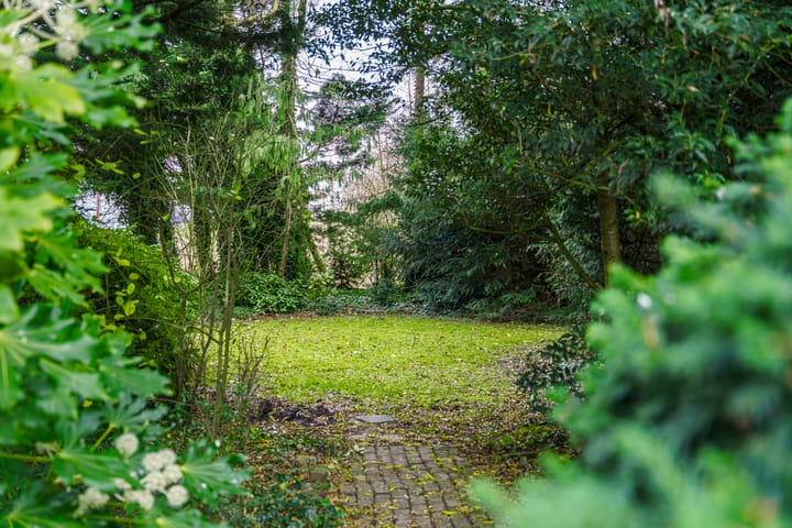 Foto 40 van Hornweg 126