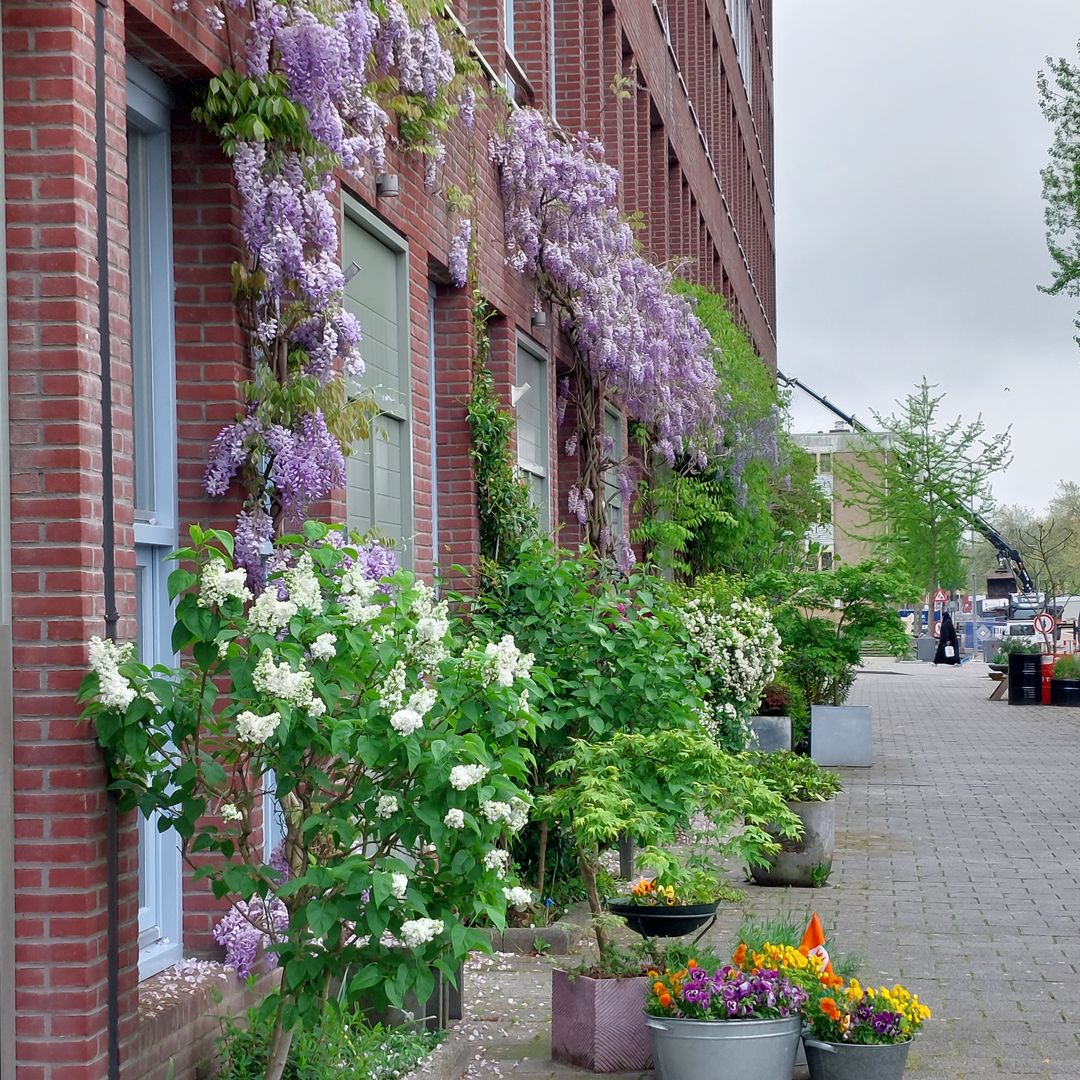 Photo 38 of Nijverheidstraat 160