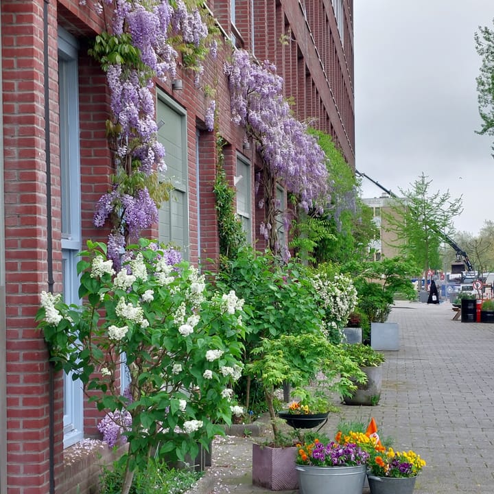 Foto 38 van Nijverheidstraat 160