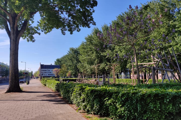 Foto 50 van Zinkerstraat 13