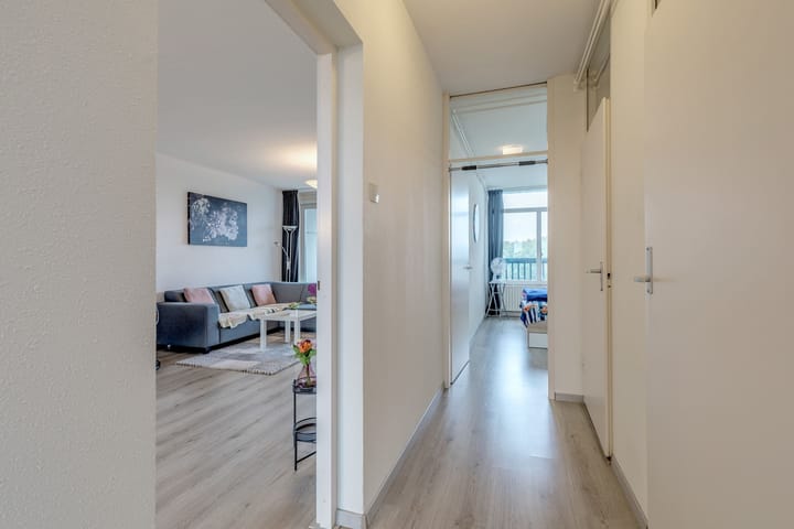 Foto 17 van Lankforst 5657