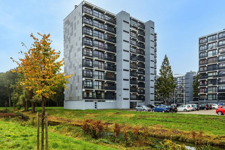 Foto 28 van Lankforst 5657