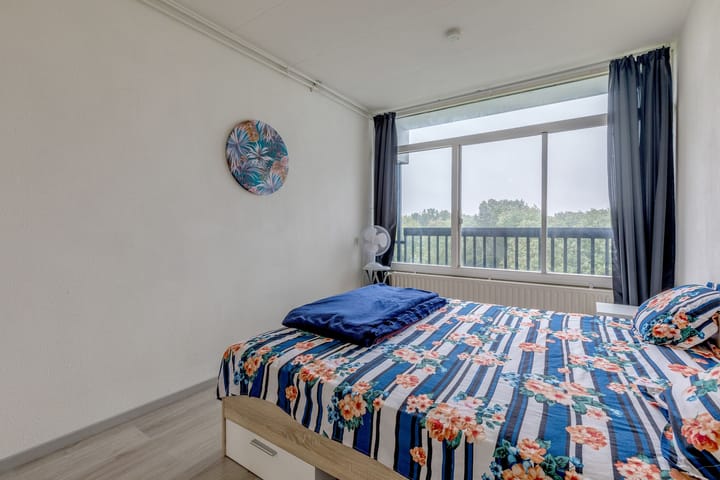 Foto 19 van Lankforst 5657