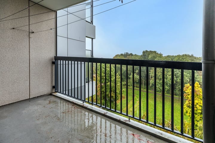 Foto 31 van Lankforst 5657