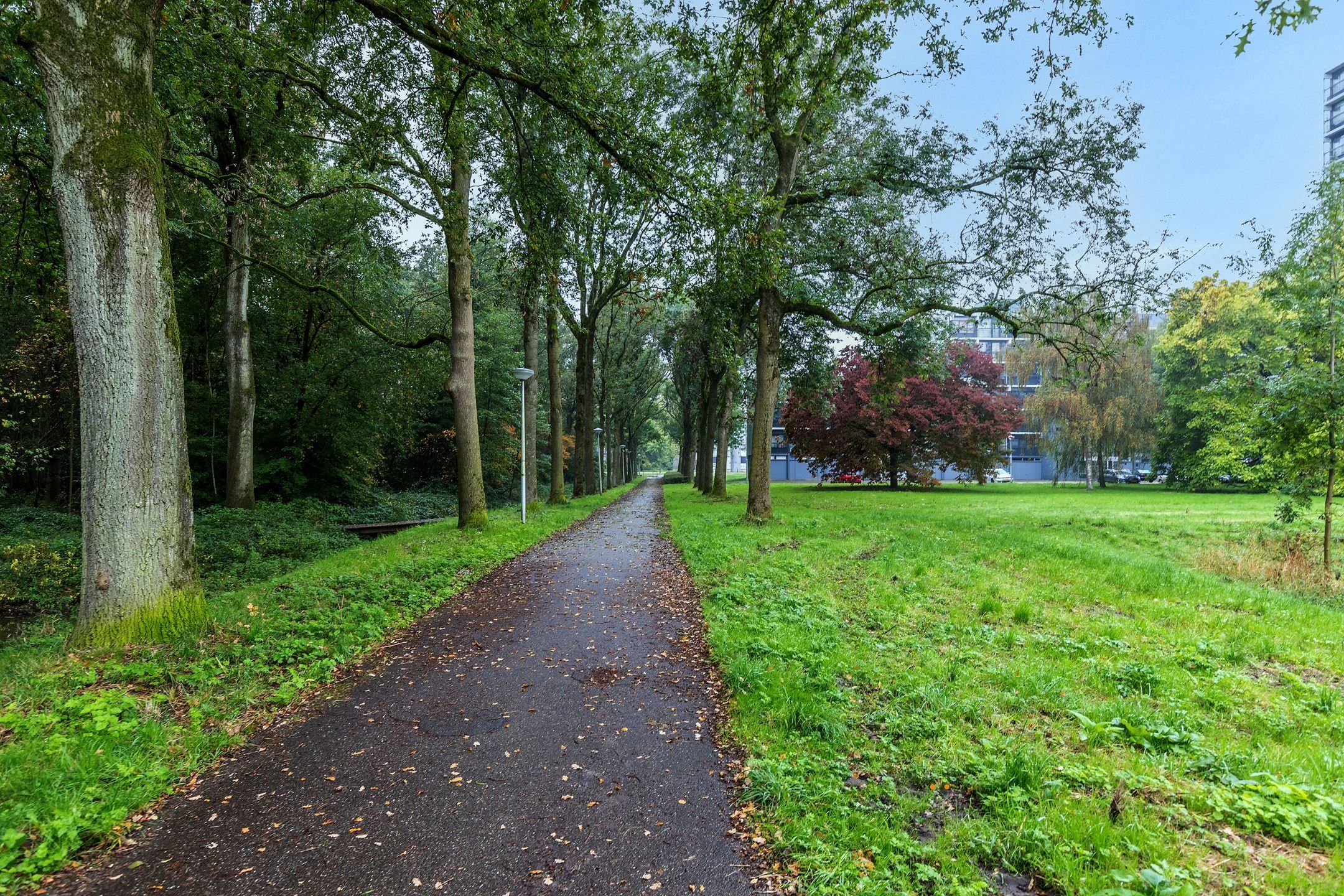 Photo 33 of Lankforst 5657