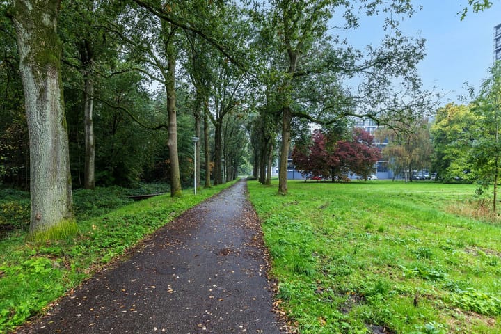 Foto 33 van Lankforst 5657