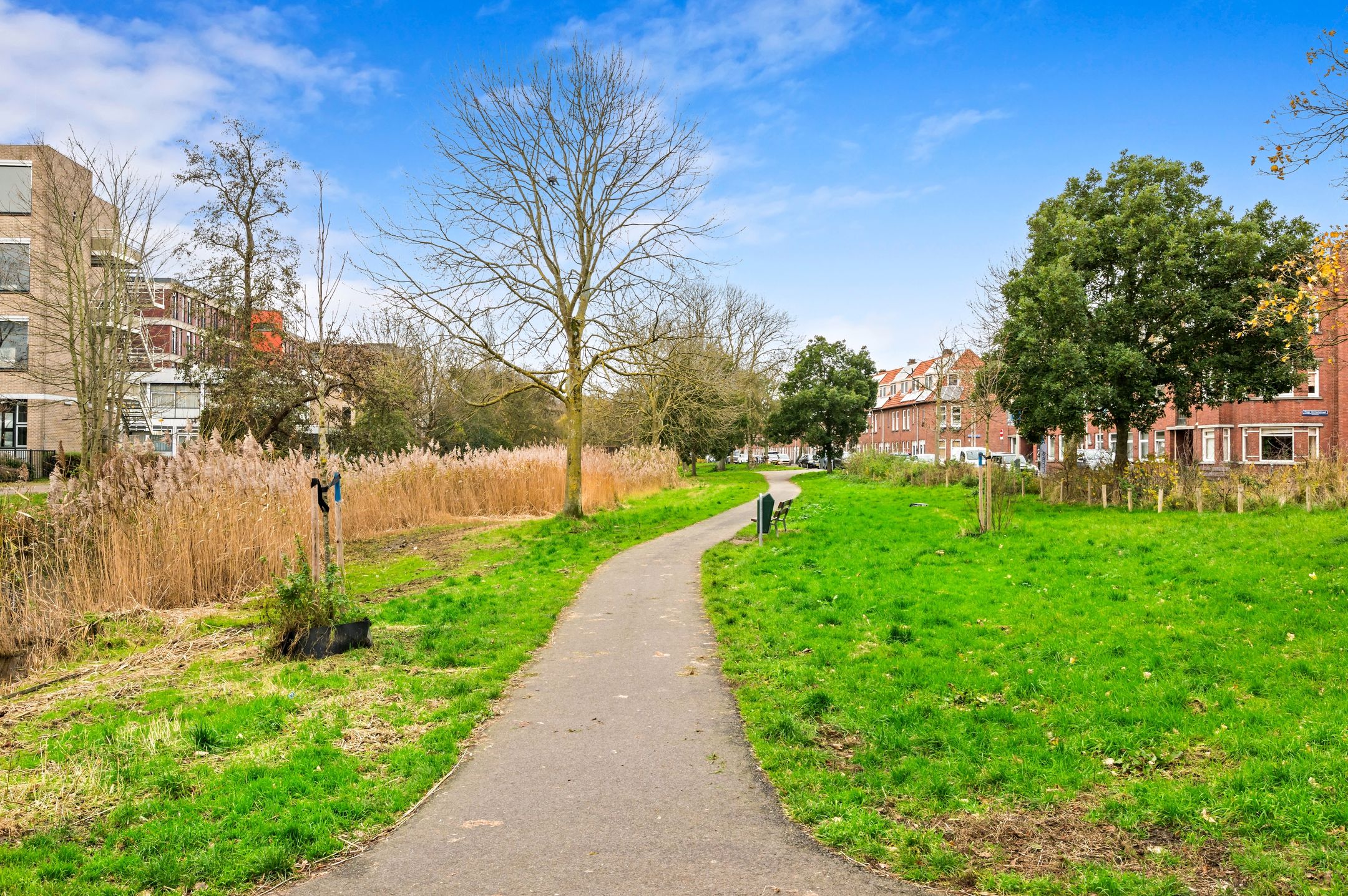 Photo 33 of Dautzenbergstraat 92