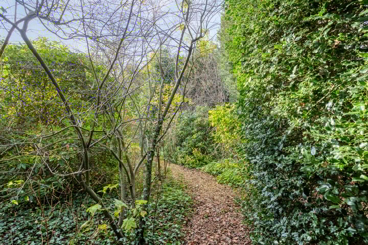 Foto 61 van Norgerweg 138