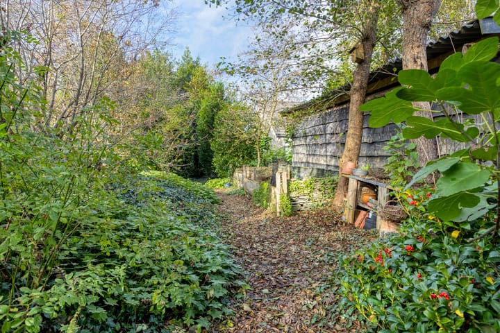 Foto 59 van Norgerweg 138