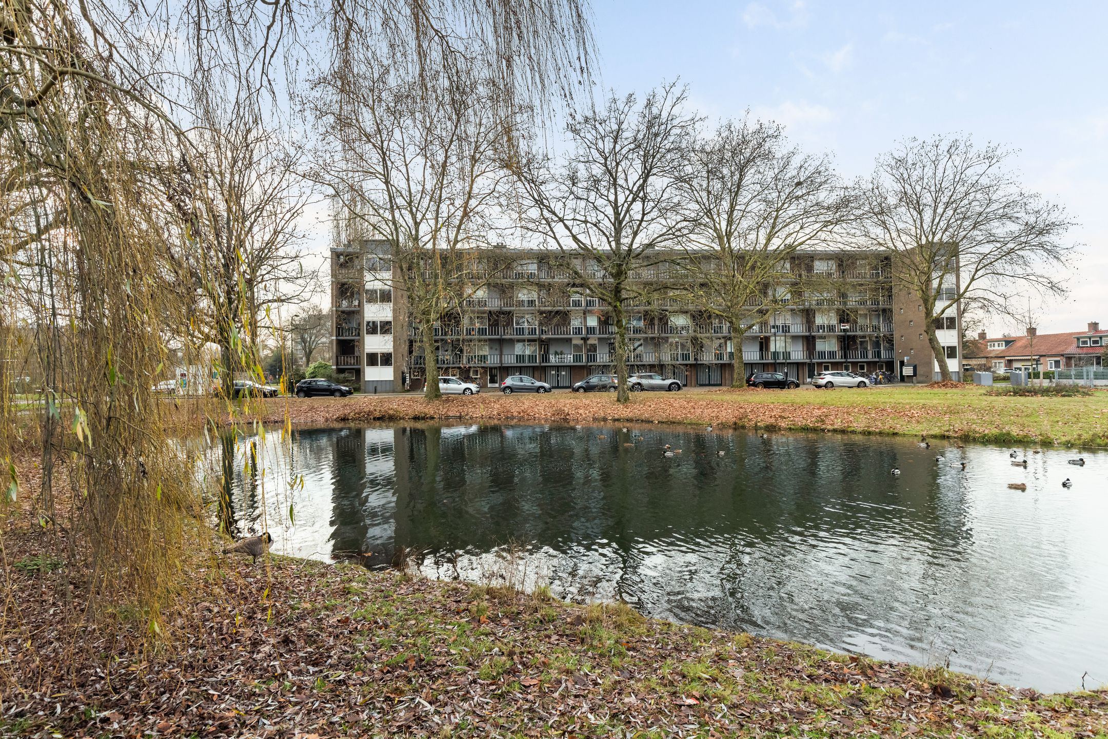 Foto 6 van Cort van der Lindenstraat 34