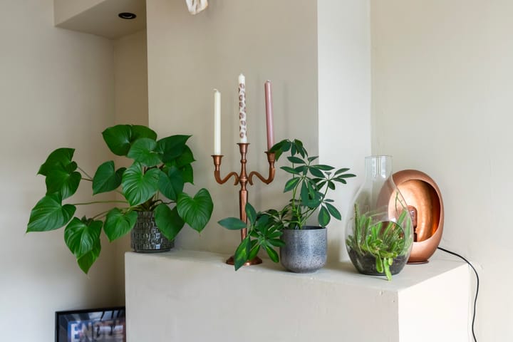 Photo 20 of Cort van der Lindenstraat 34