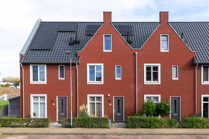 Gutspad 19 main image