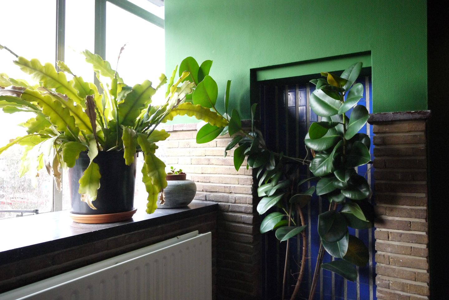 Bekijk foto 3 van Eemnesserweg 107