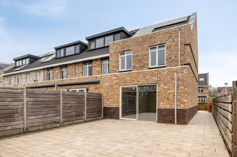 Aalscholver 24 secondary image