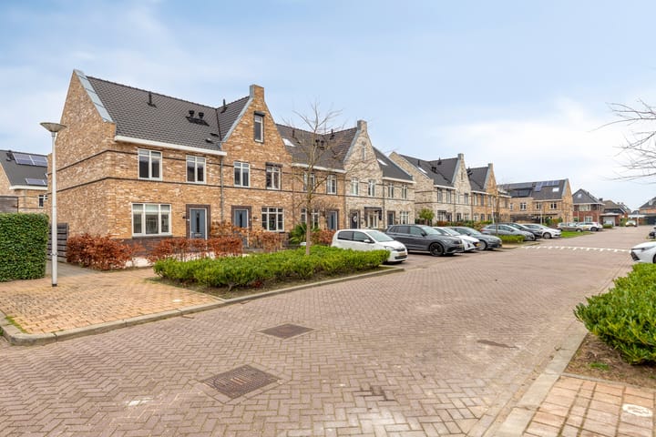 Foto 3 van Aalscholver 24