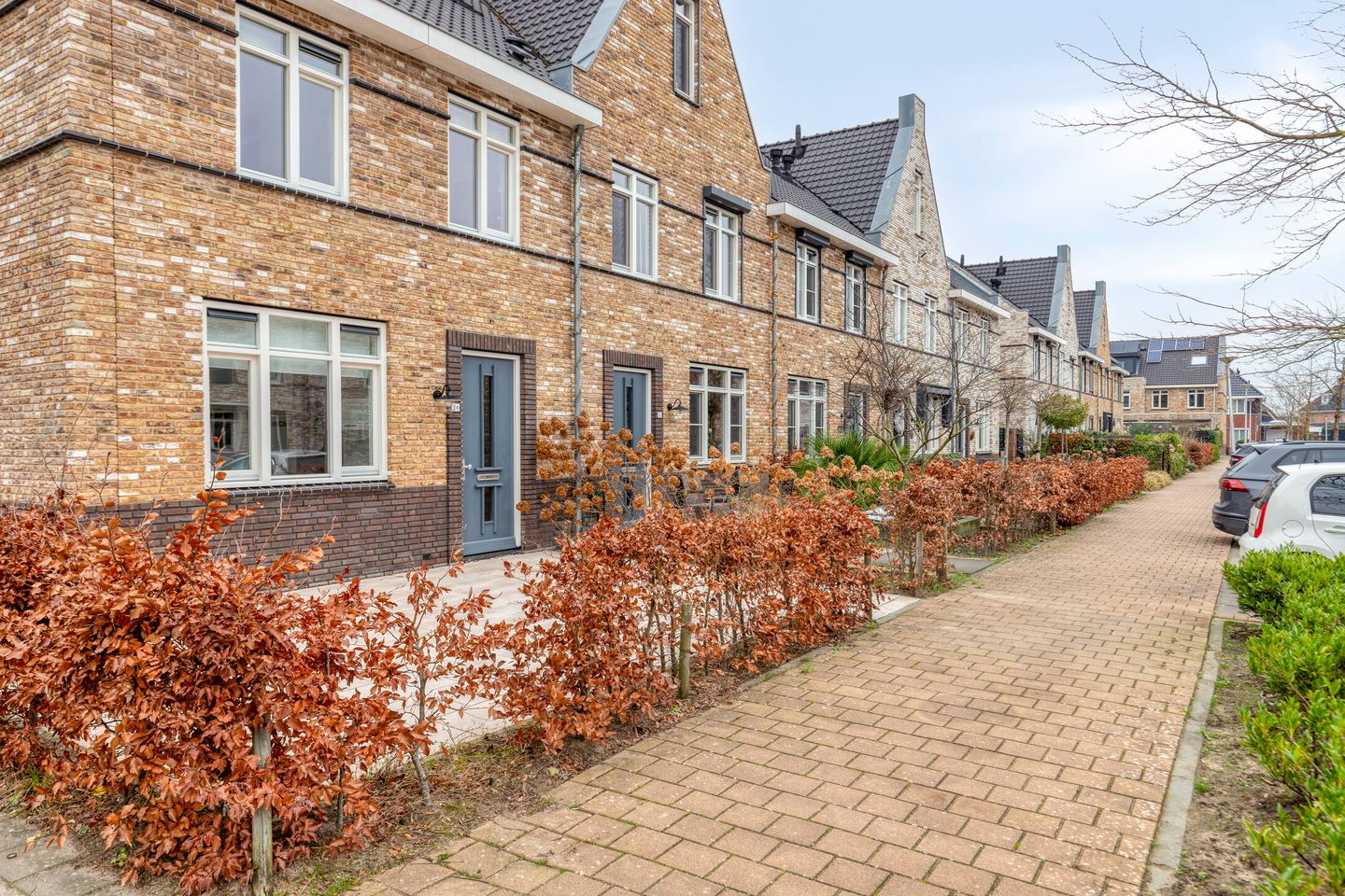 Photo 4 of Aalscholver 24