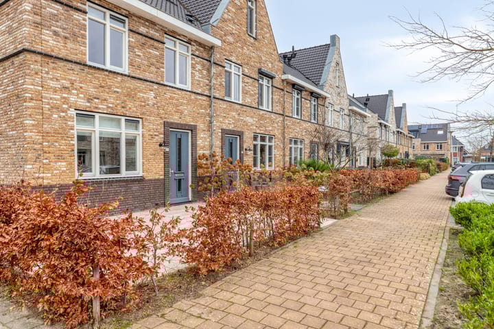 Foto 4 van Aalscholver 24