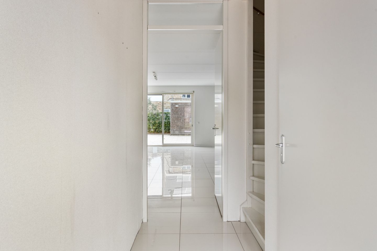 Photo 5 of Aalscholver 24