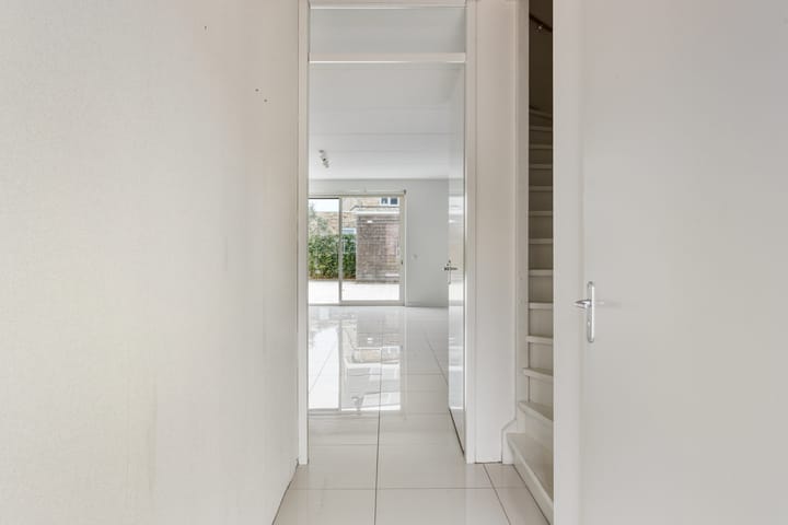 Photo 5 of Aalscholver 24