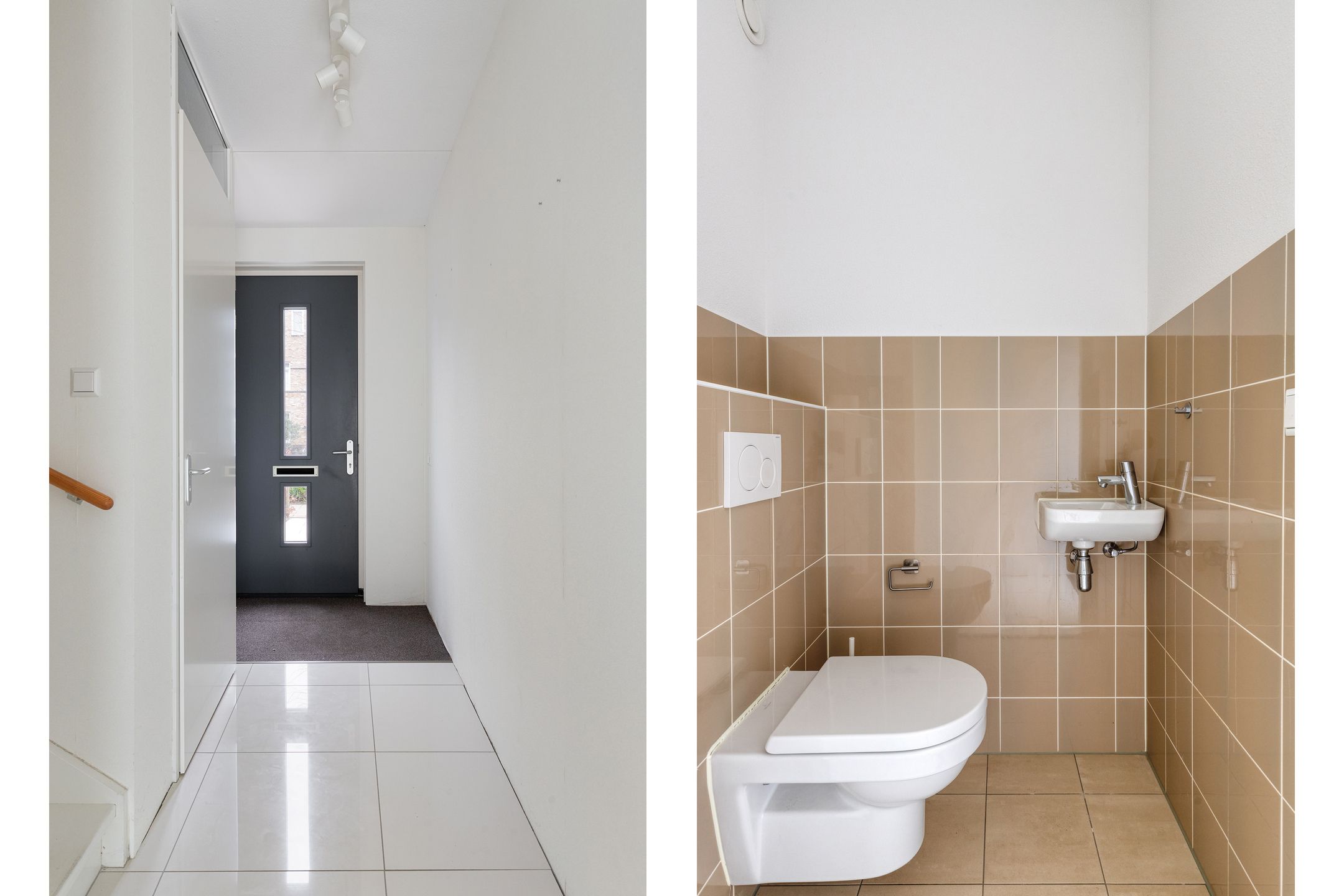 Photo 6 of Aalscholver 24