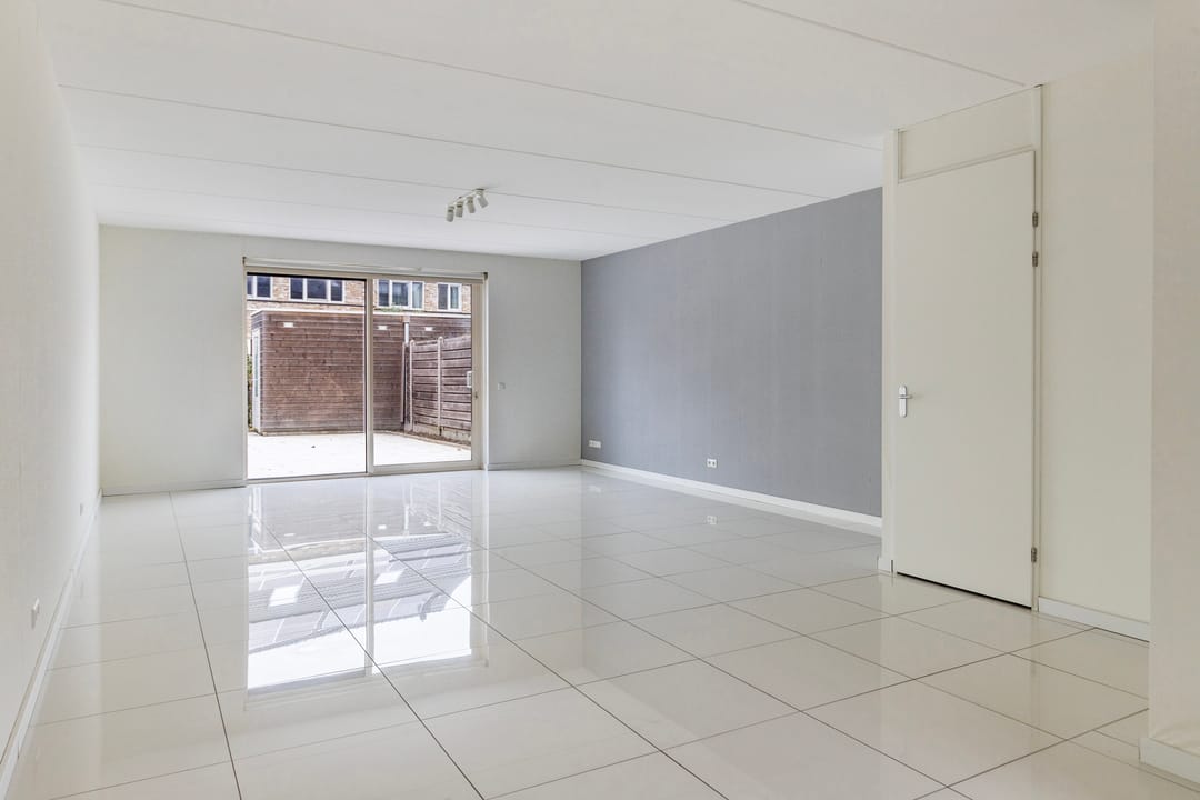 Photo 7 of Aalscholver 24