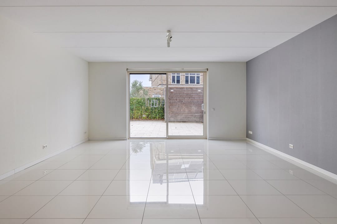 Photo 8 of Aalscholver 24