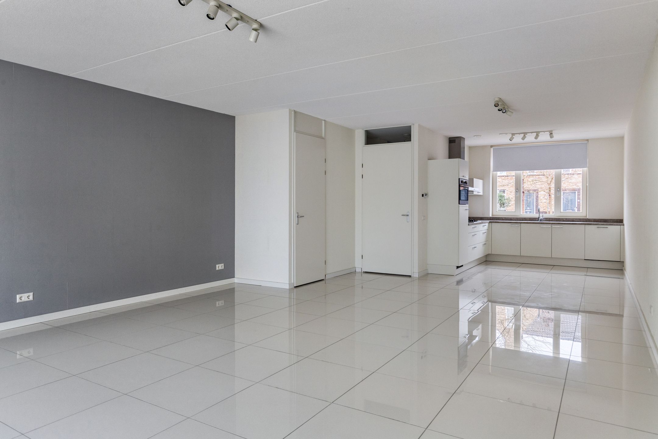 Photo 9 of Aalscholver 24