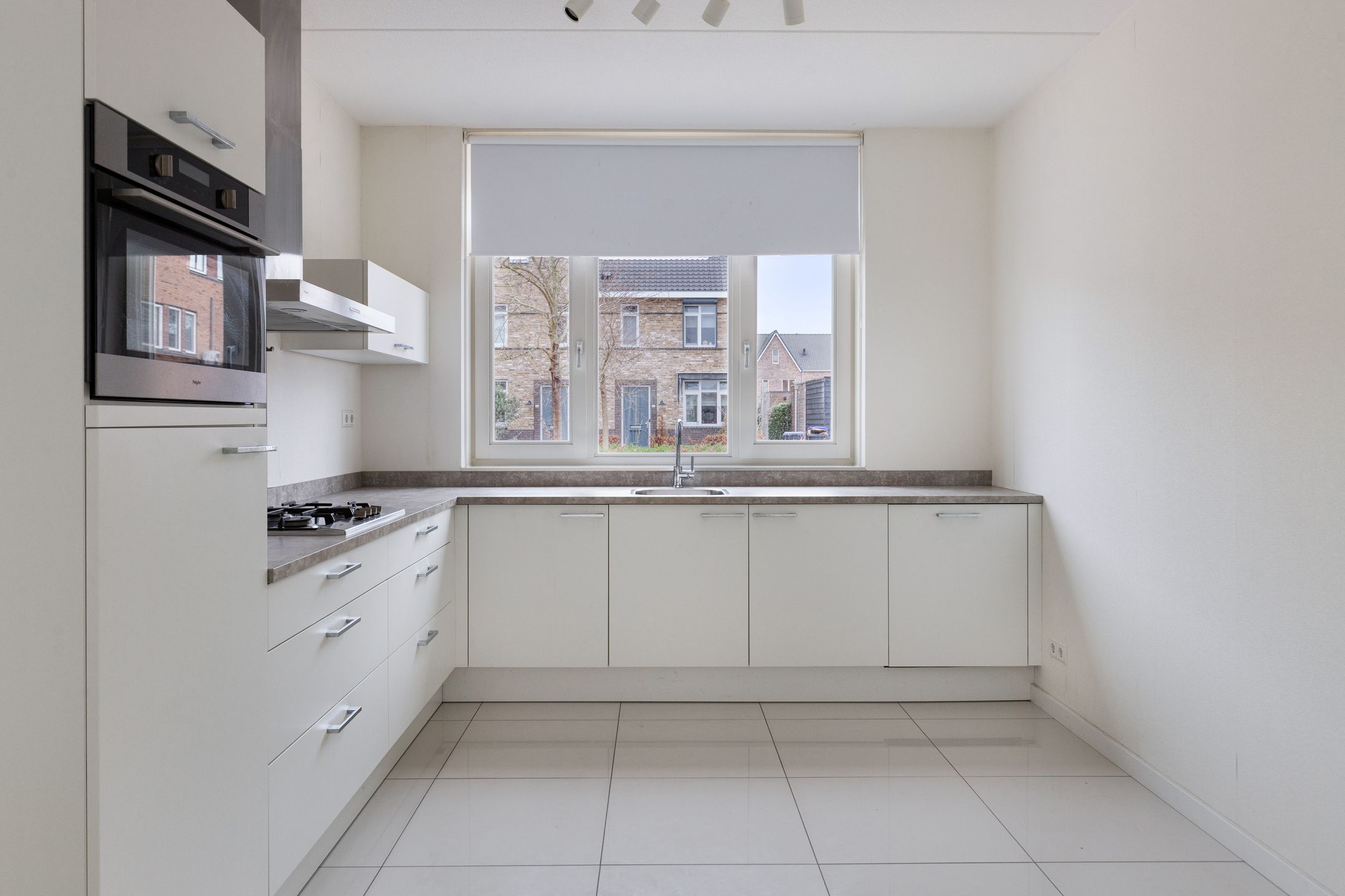 Photo 12 of Aalscholver 24